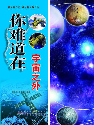 cover image of 你难道在宇宙之外